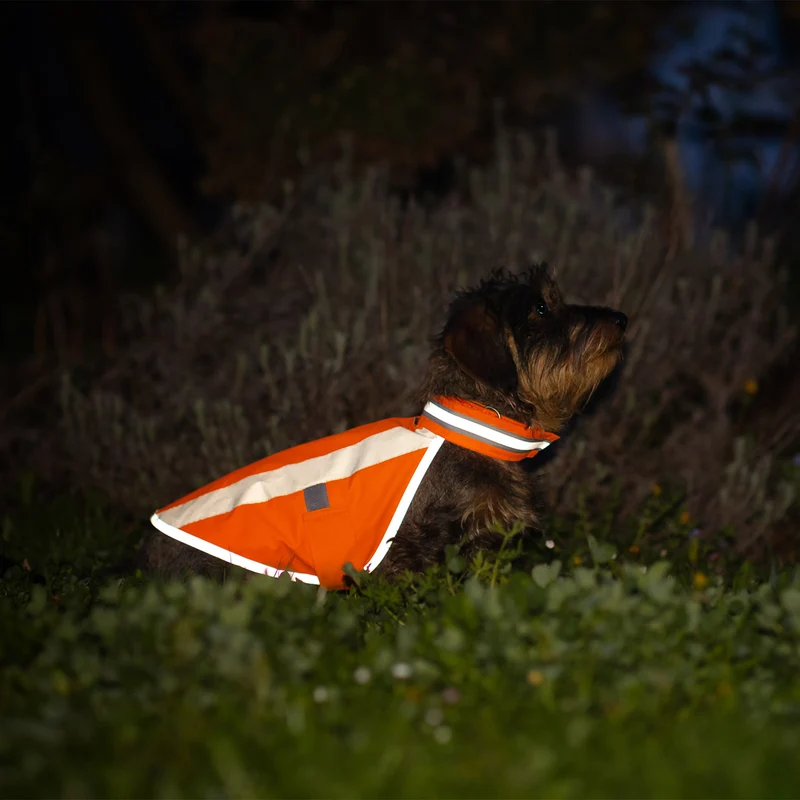 Hundewarnweste Neonorange
