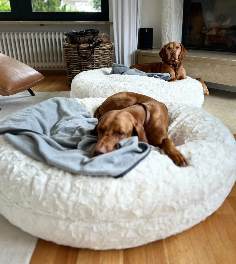 Hundebett rund, Bagelbettchen, Fell WOLLWEISS
