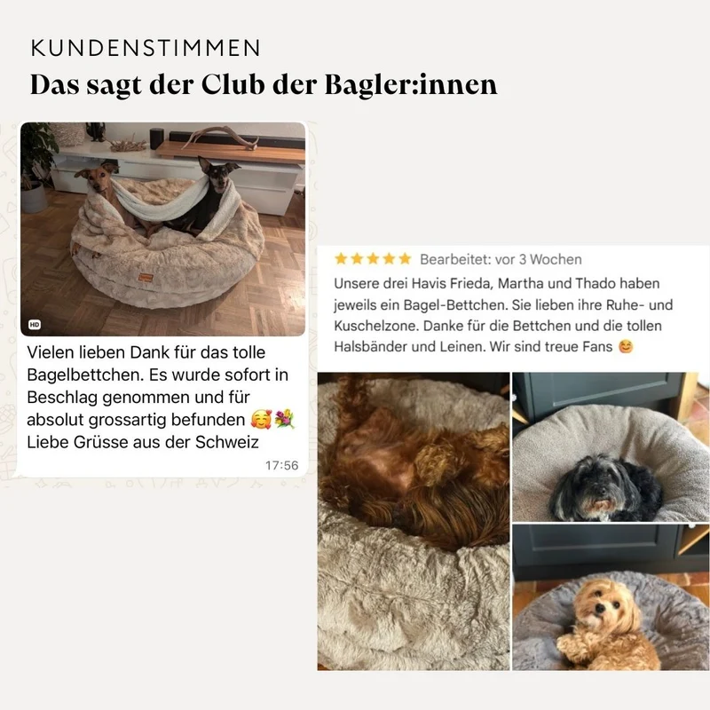 Hundebett rund, Bagelbettchen, Teddy SAND