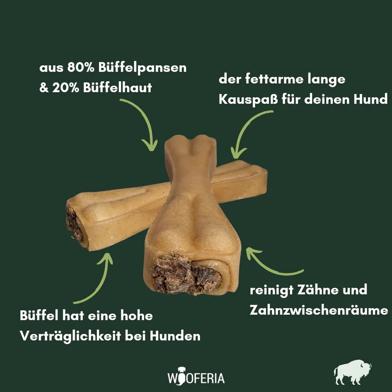 Pansen Kauknochen