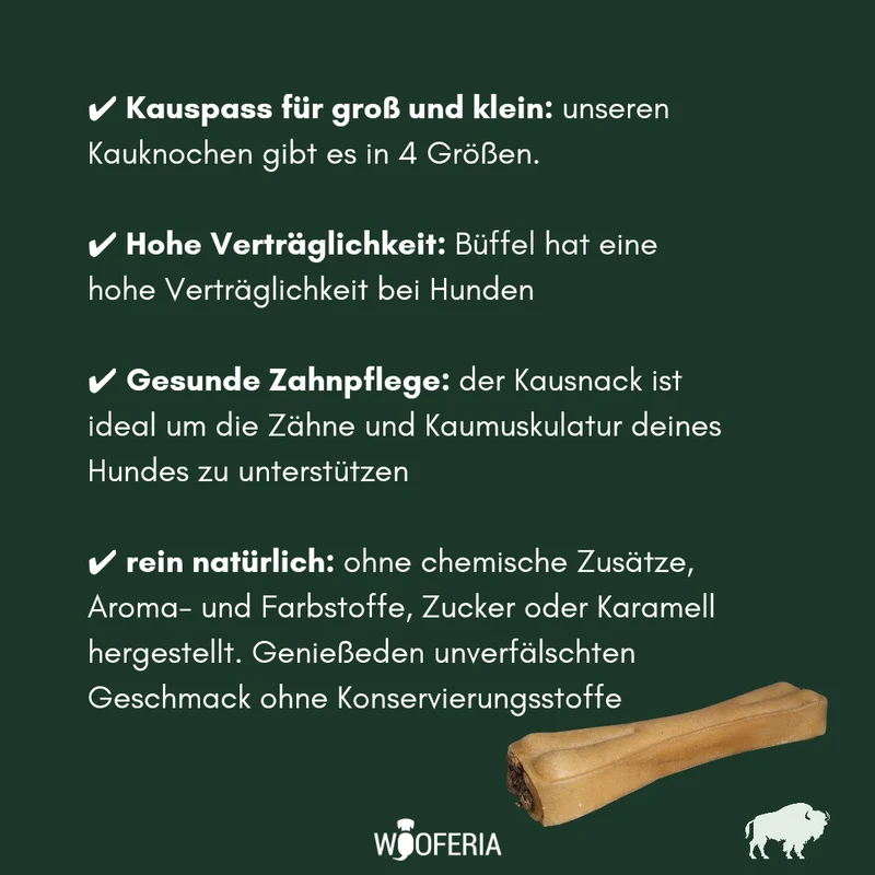 Pansen Kauknochen