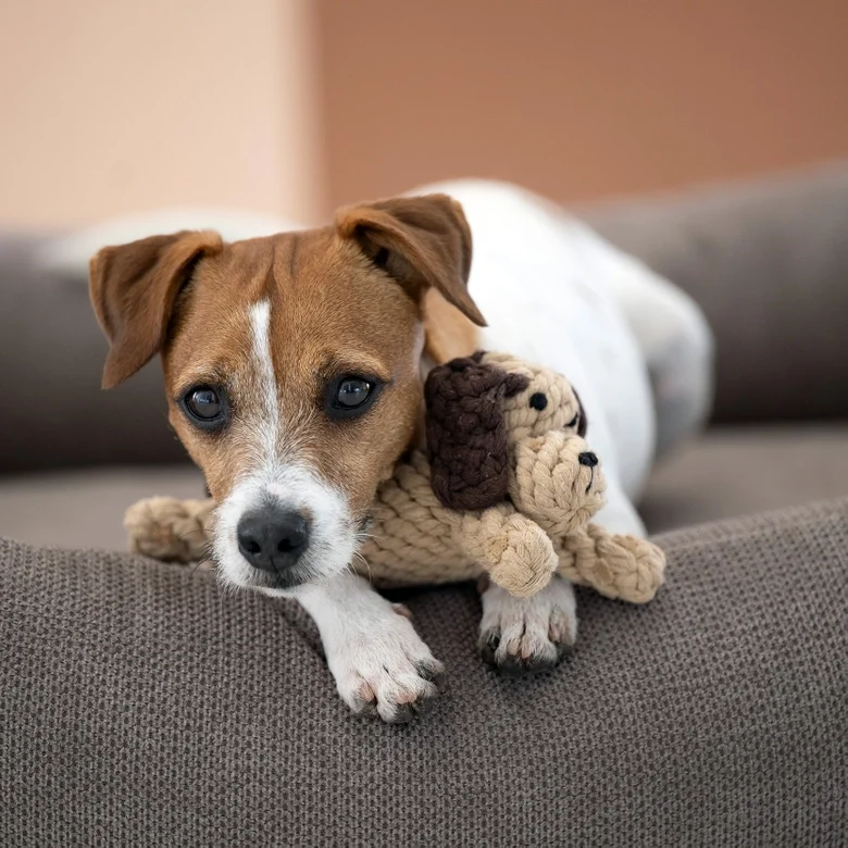 Hundespielzeug Doggy Dog Junior