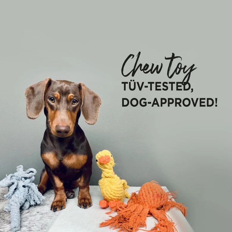 Hundespielzeug Welpe Tapsi