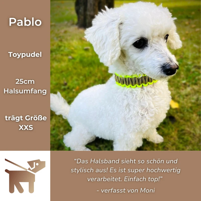 Halsband mit Paracord | Neon-Gelb Beige-Gold
