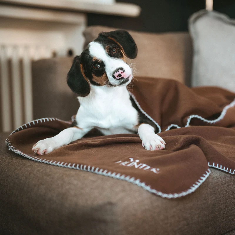 Hundedecke Casper