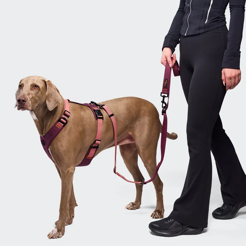 Y-2 Hundegeschirr AKTIV Cordura Aubergine/Soft Rose