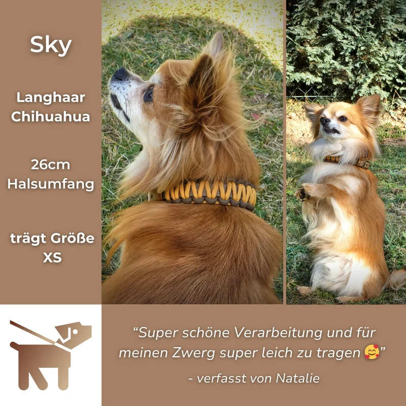 Halsband mit Paracord | Hazelnut-Karamell