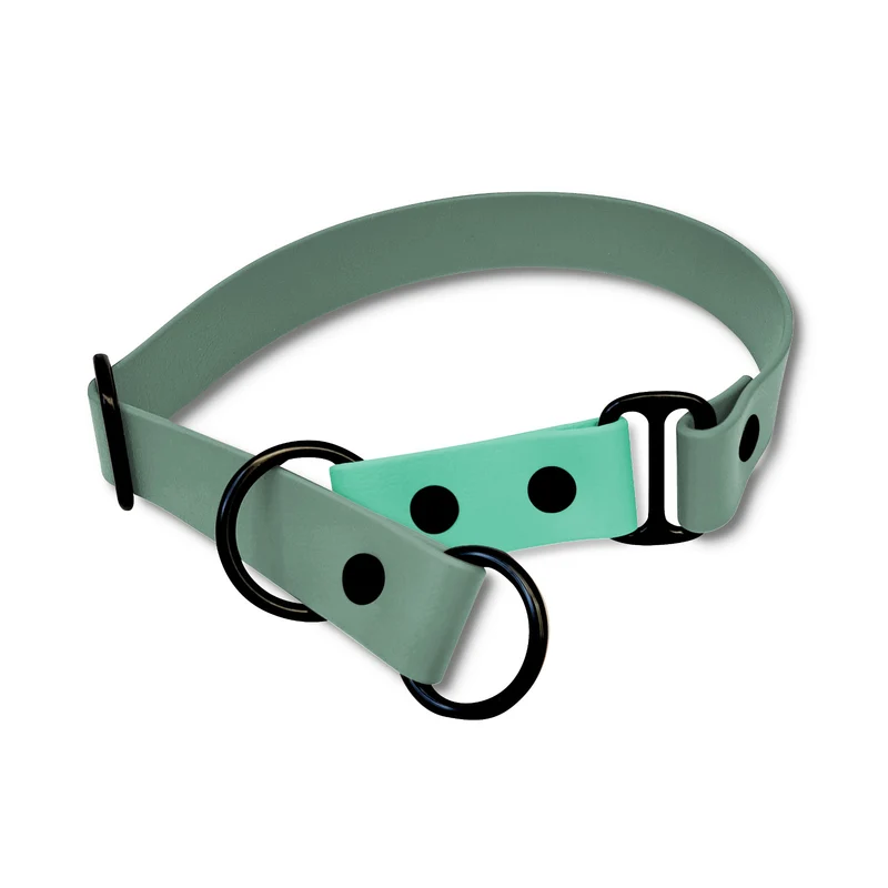Zugstopp Halsband BioThane® Sports | Minz Flash