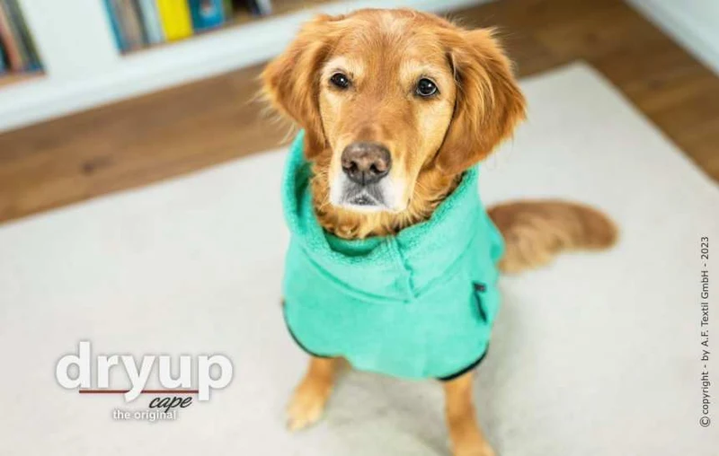 DRYUP CAPE® Hundebademantel Mint