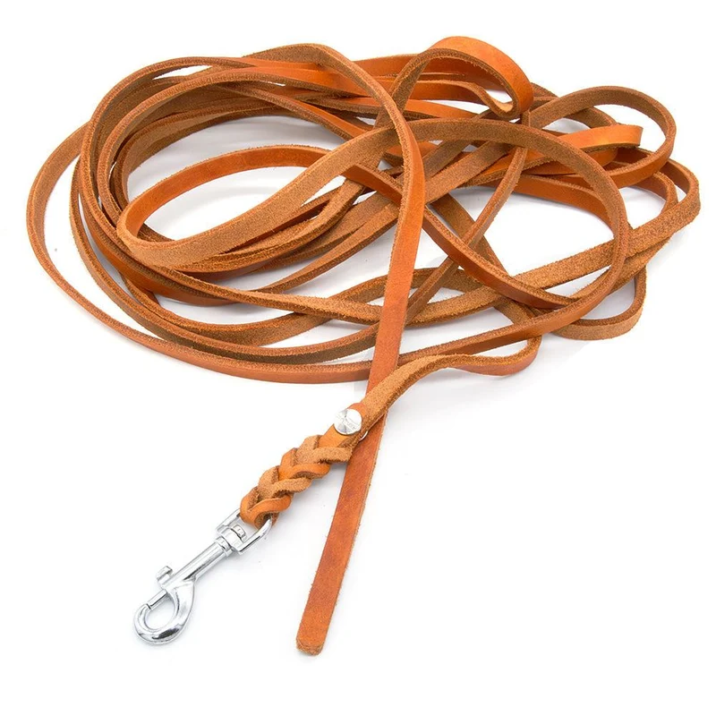 Mantrailing Leine Leder Trailleine