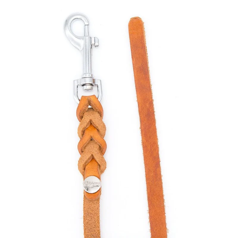 Mantrailing Leine Leder Trailleine