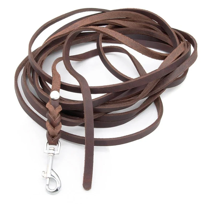 Mantrailing Leine Leder Trailleine