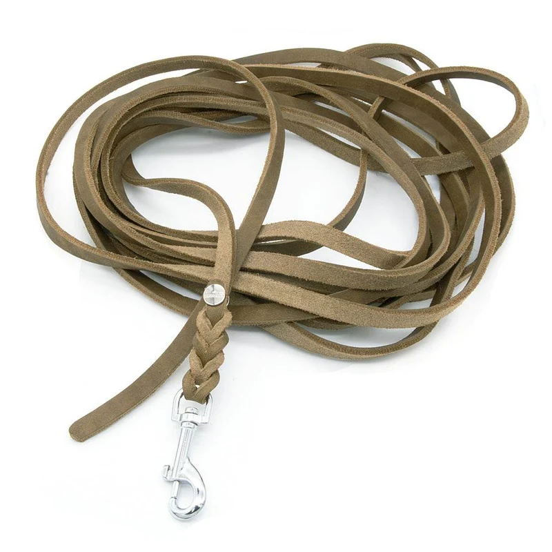 Mantrailing Leine Leder Trailleine