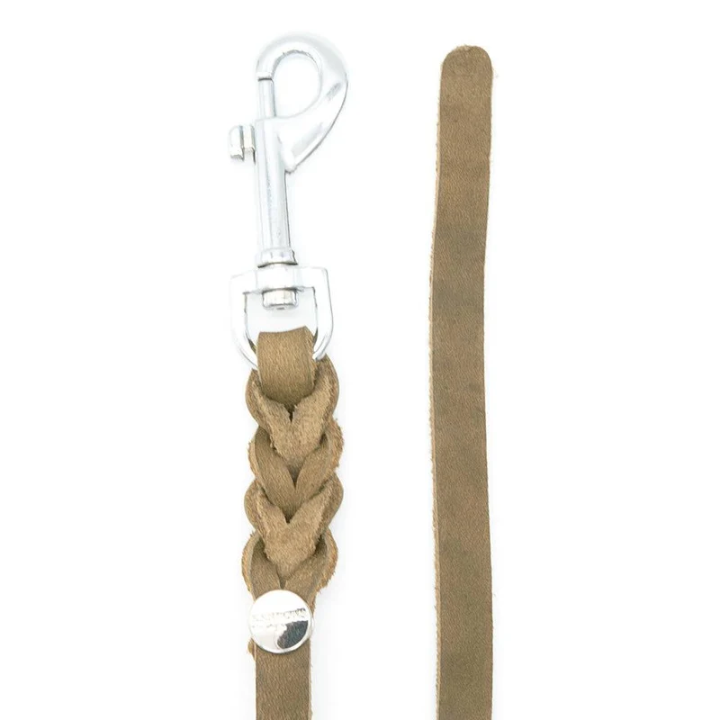 Mantrailing Leine Leder Trailleine
