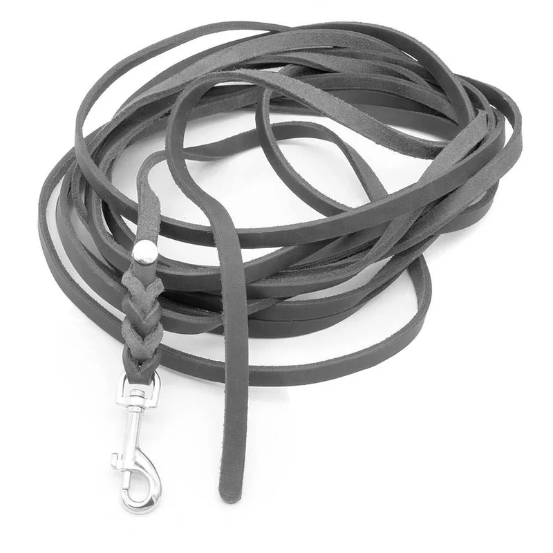 Mantrailing Leine Leder Trailleine