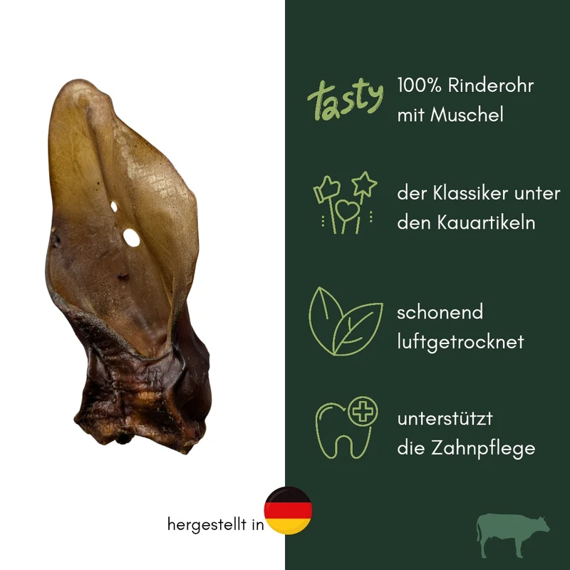 Rinderohr XL mit Muschel