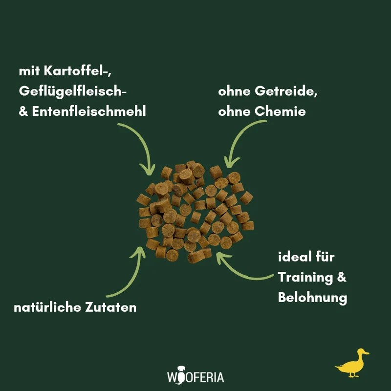 Ente Softies