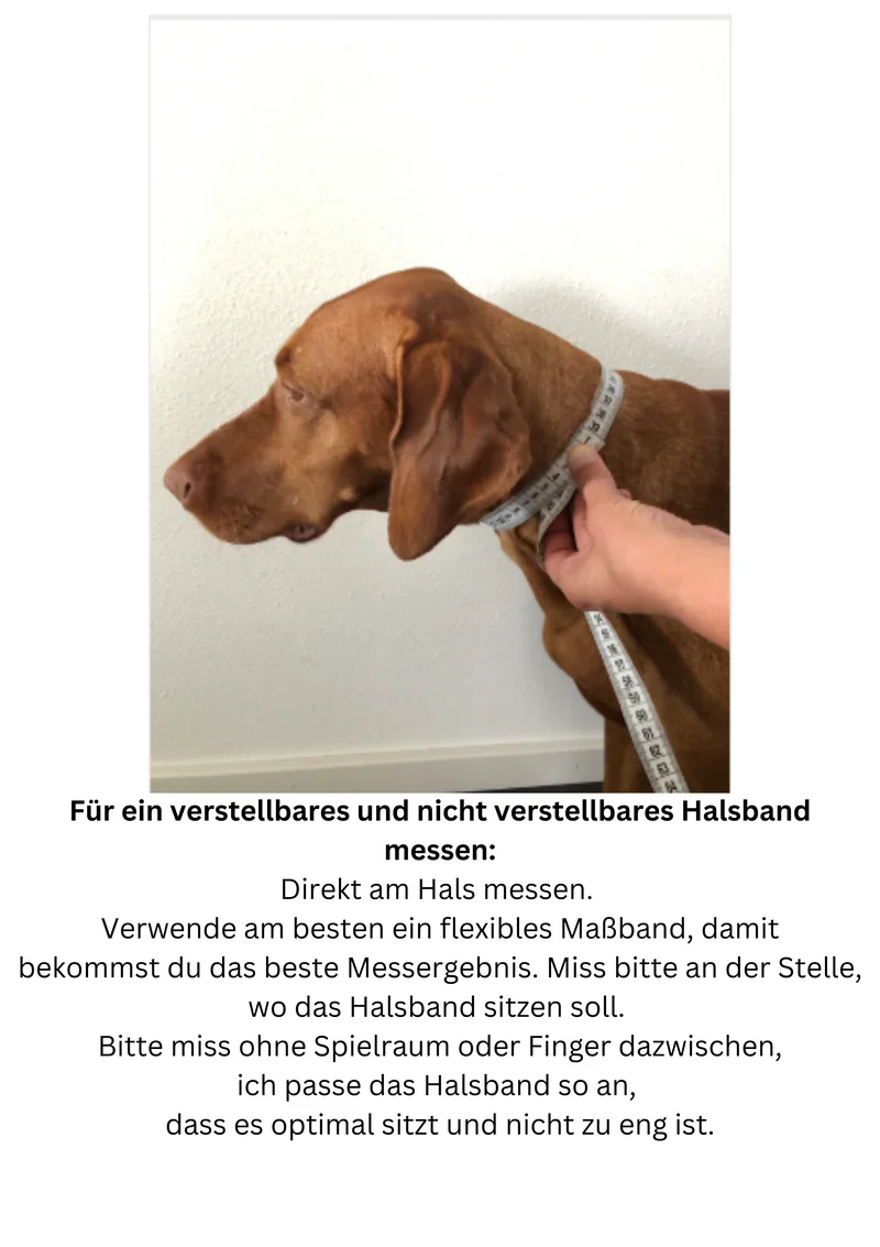 Hundehalsband Camouflage Olivgrün Schwarz Gold