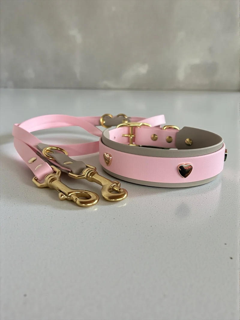 Hundehalsband und Leine Set BioThane® mit Herznieten