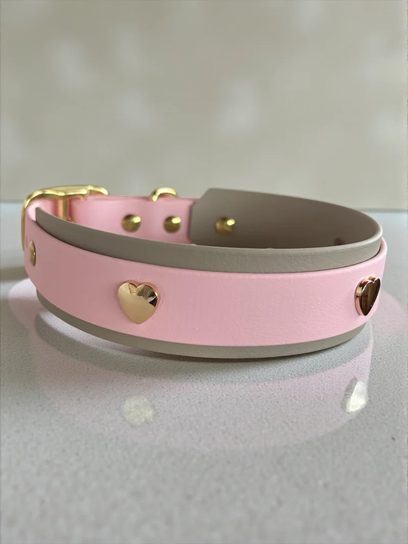 Hundehalsband und Leine Set BioThane® mit Herznieten
