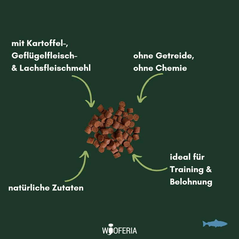 Lachs Softies