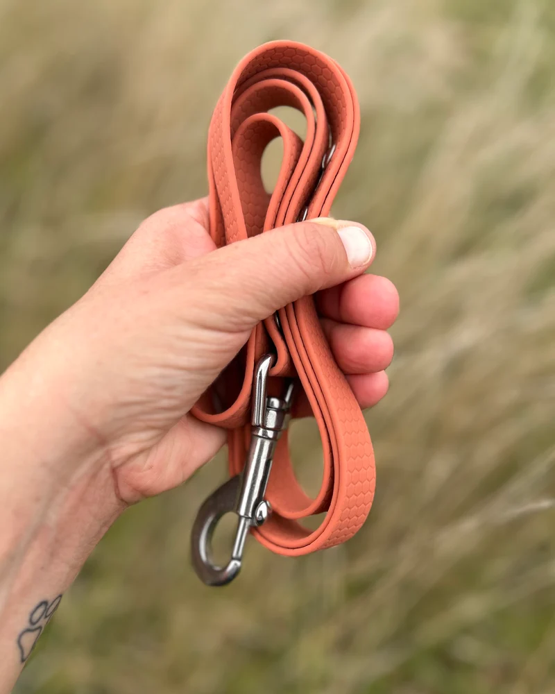 Hundeleine Hexa mit Handschlaufe