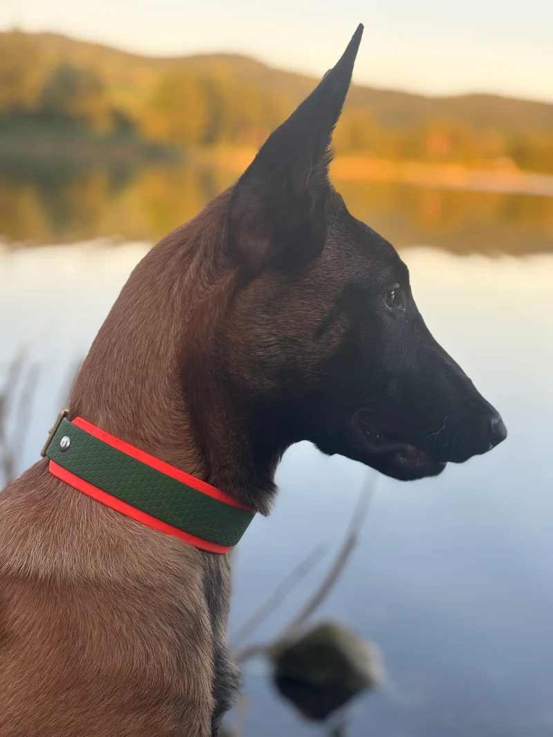 Wasserfestes Hundehalsband & Leine Set nach Wunschfarben
