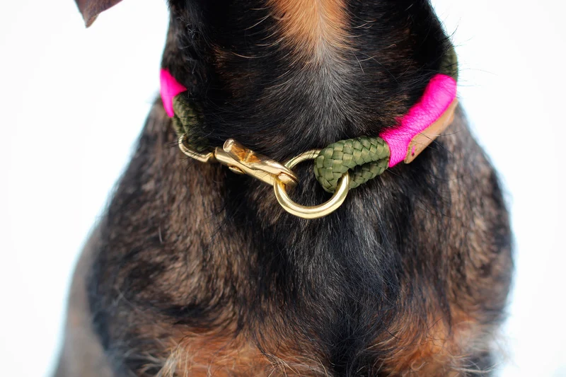 Festes Halsband Olive Grove NEONPINK