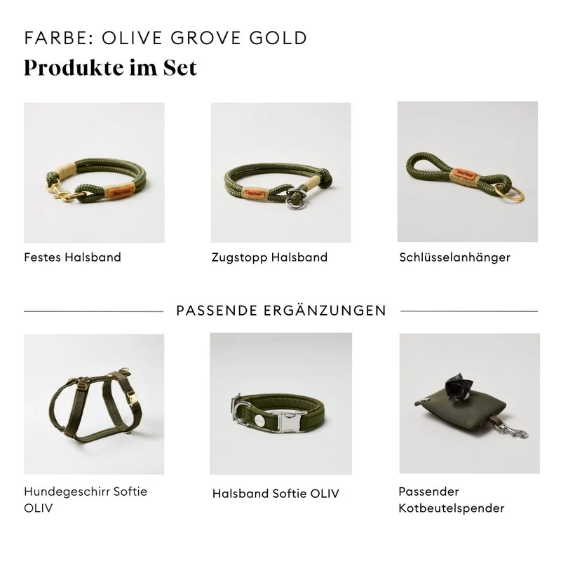 Tau-Retrieverleine Olive Grove GOLD, 190 cm (integrierte Halsung)