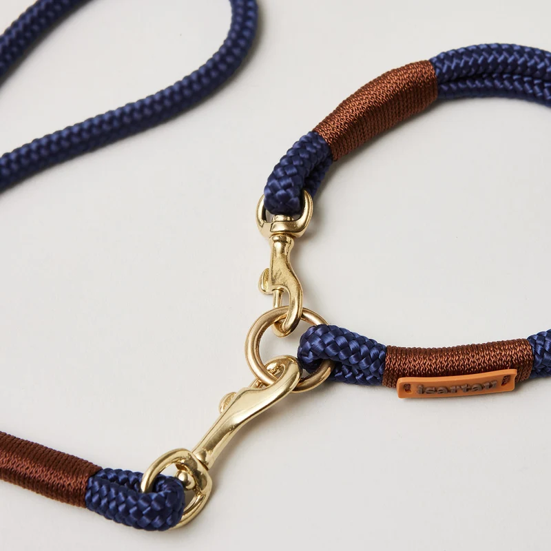Festes Halsband Indigo Sea Kastanie