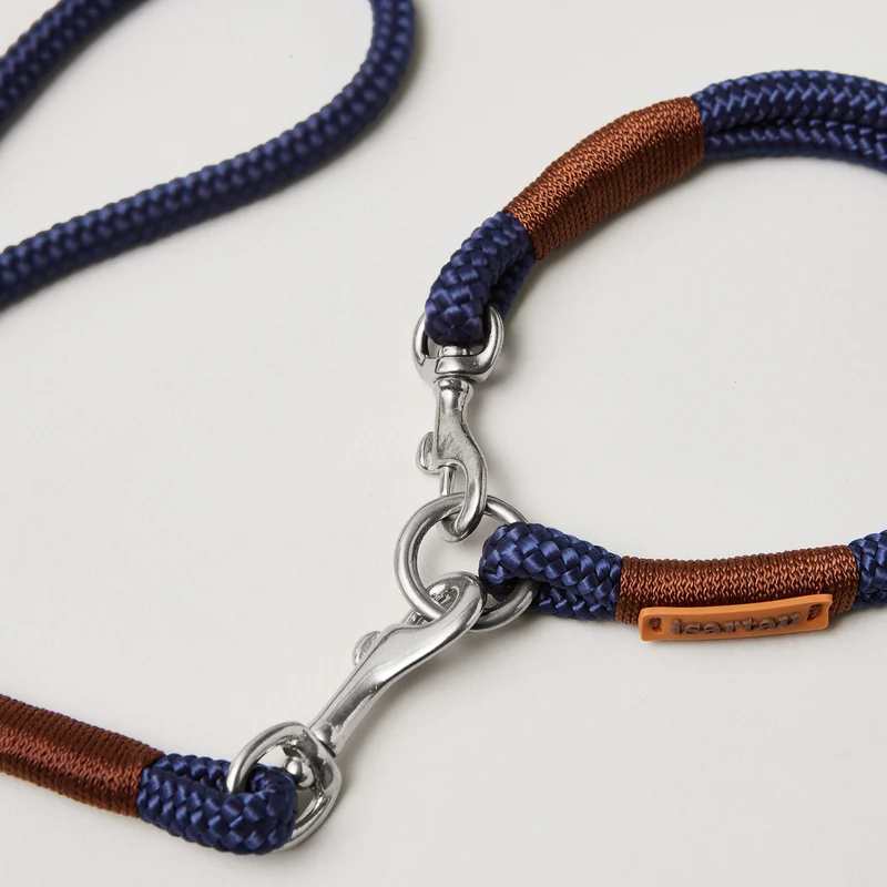 Festes Halsband Indigo Sea Kastanie