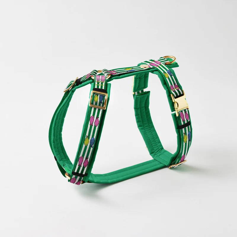 Hundegeschirr SALTY