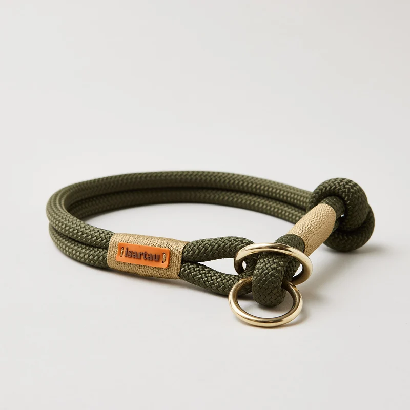 Zugstopp-Halsband Olive Grove GOLD