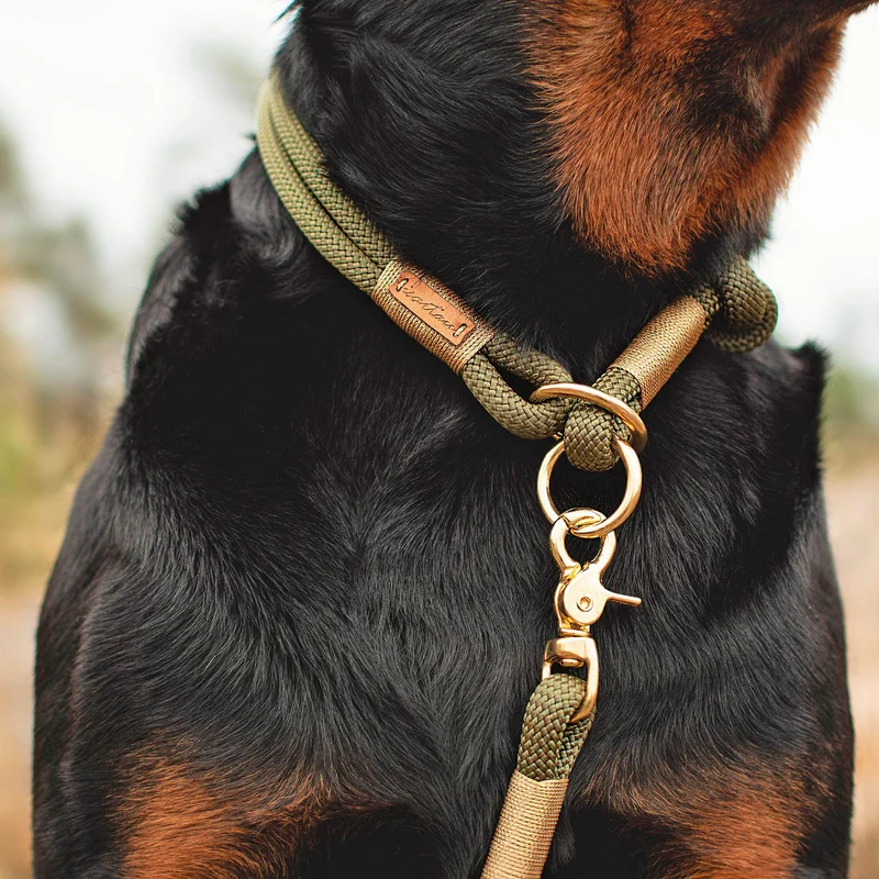 Zugstopp-Halsband Olive Grove GOLD