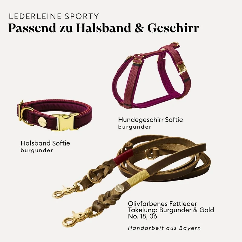 Lederleine SPORTY 250 cm, OLIV (Umhängeleine)