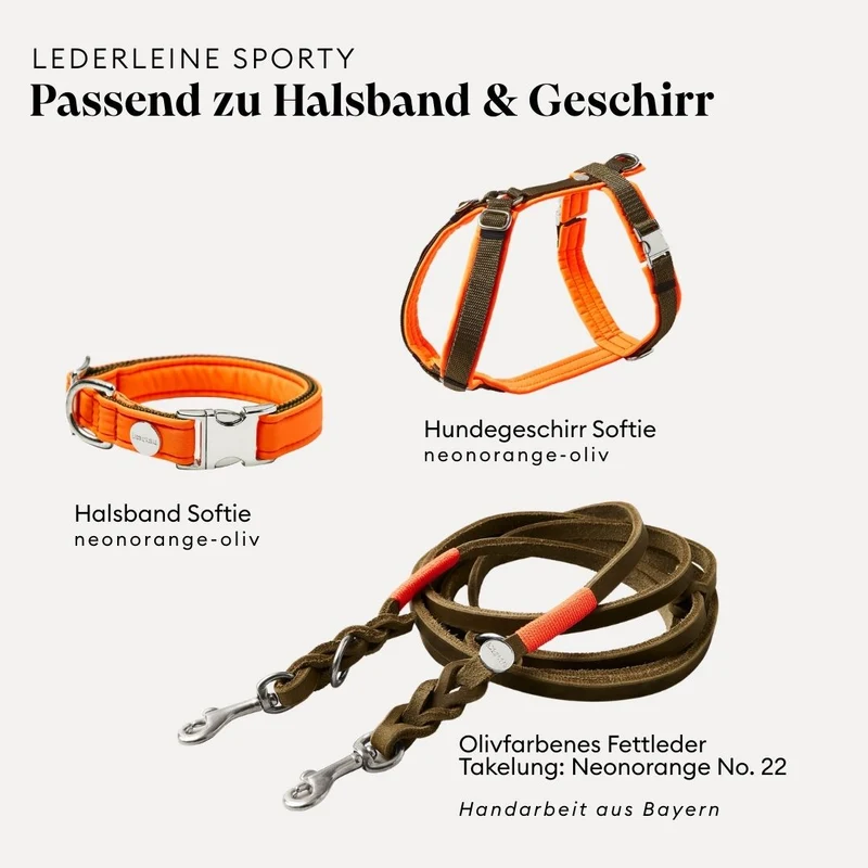 Lederleine SPORTY 250 cm, OLIV (Umhängeleine)