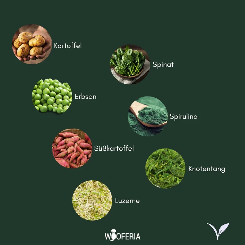 Spirulina Trainingssnack