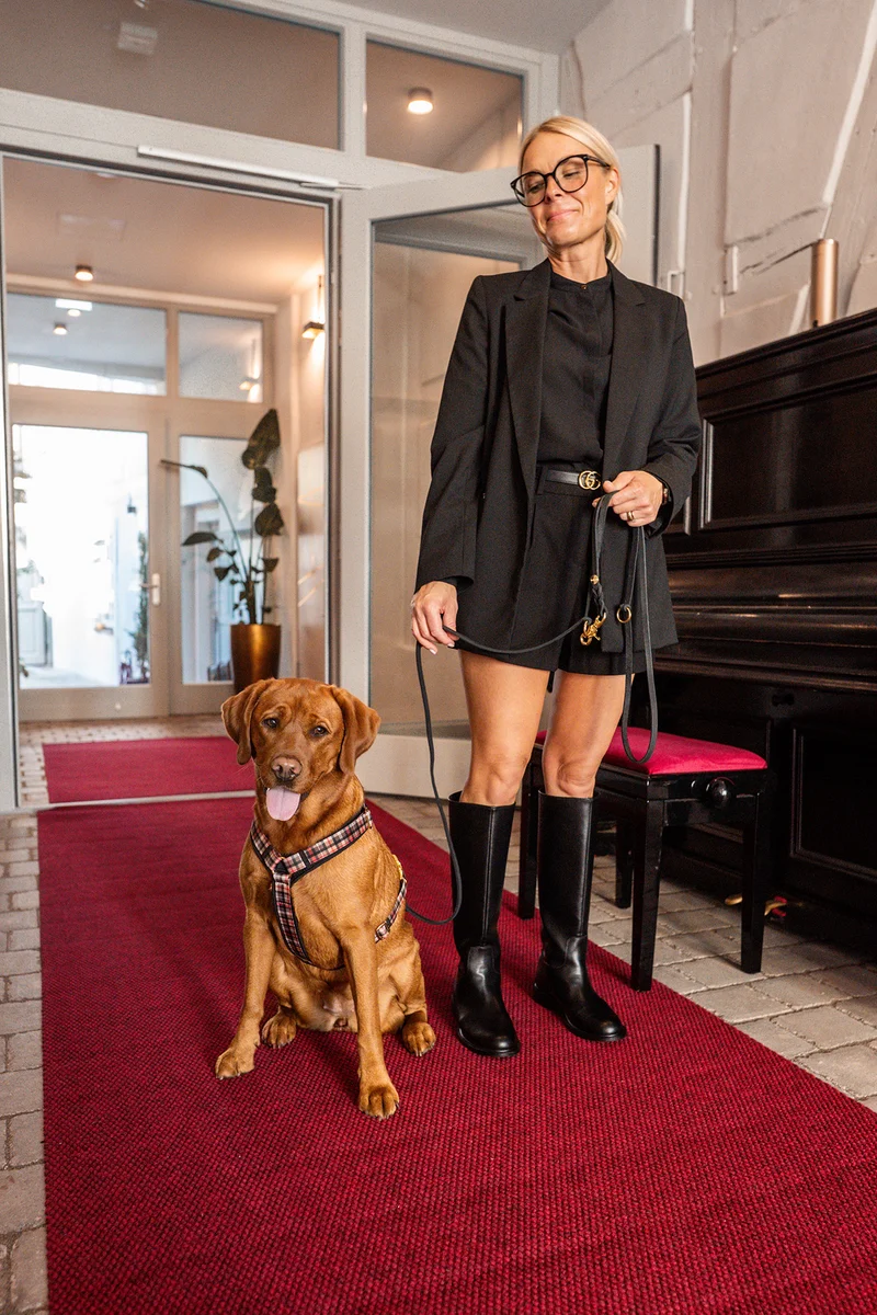 Hundegeschirr FLANEUR