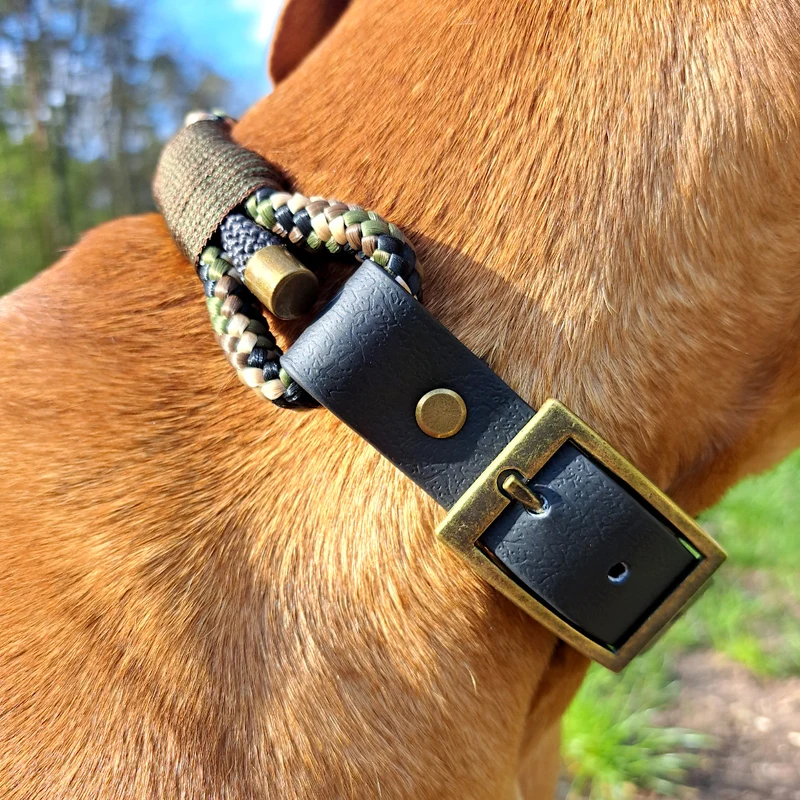 Tau-Halsband | Anthrazit-Camouflage