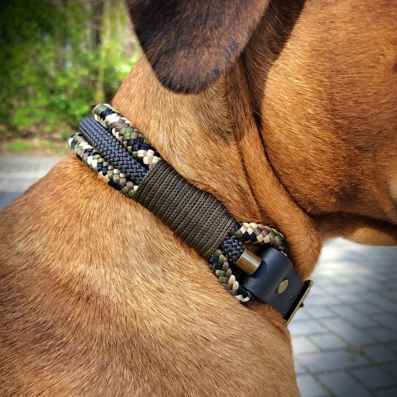 Tau-Halsband | Anthrazit-Camouflage