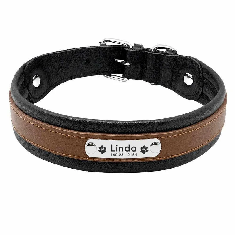 Mehrfarbiges Hundehalsband mit Namen aus Leder, gratis Gravur