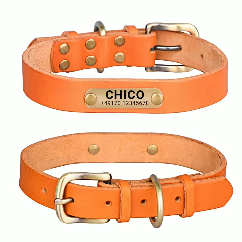 Echtleder Hundehalsband mit Messingschnalle in vier Farben und gratis Gravur Name und Telefon