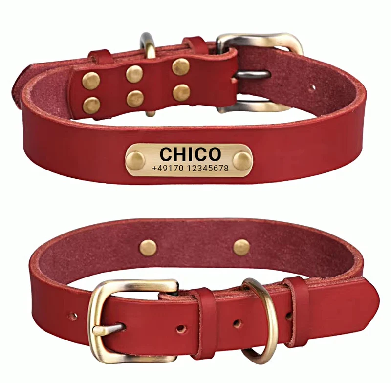 Echtleder Hundehalsband mit Messingschnalle in vier Farben und gratis Gravur Name und Telefon