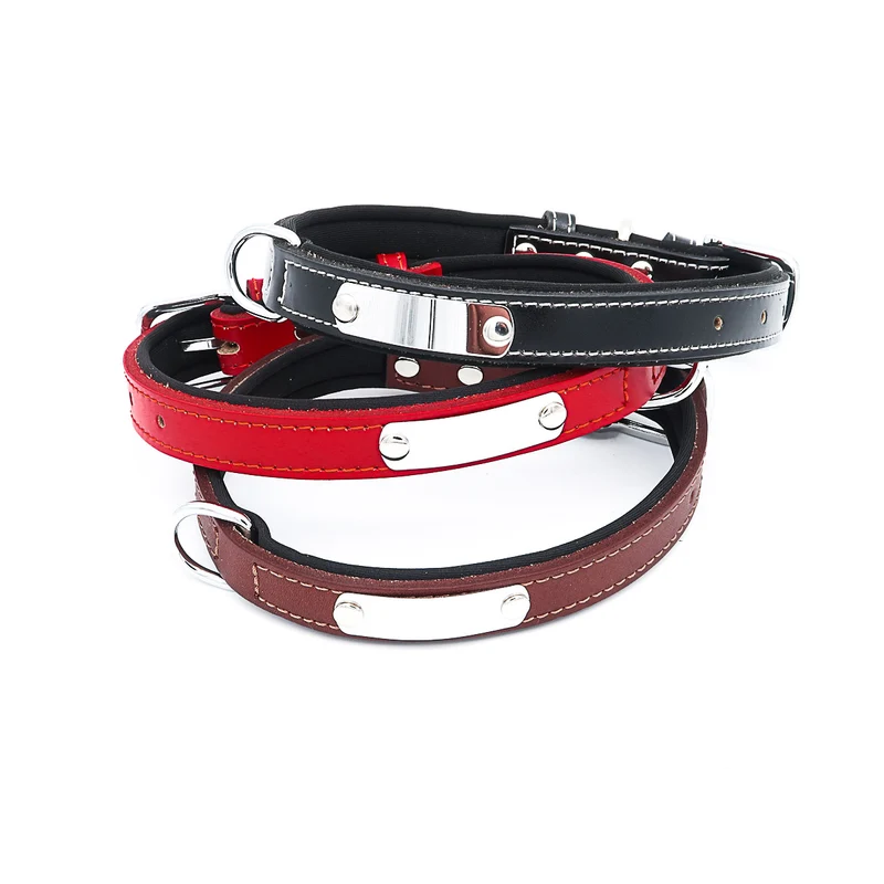 Hundehalsband mit Namen aus hochwertigem Leder, Innenpolsterung aus Neopren, 2 massive D-Ringe