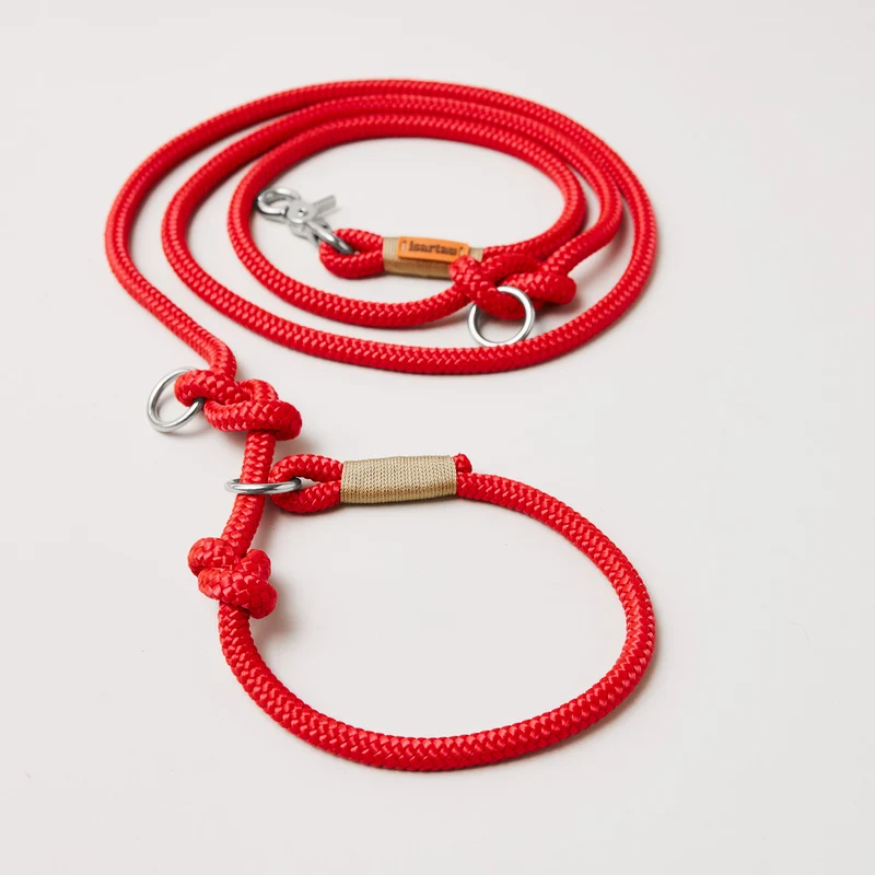 Tau-Retrieverleine Red Fairy GOLD, 190 cm (integrierte Halsung)