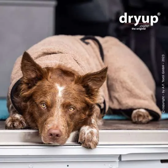 DRYUP CAPE® Hundebademantel Coffee