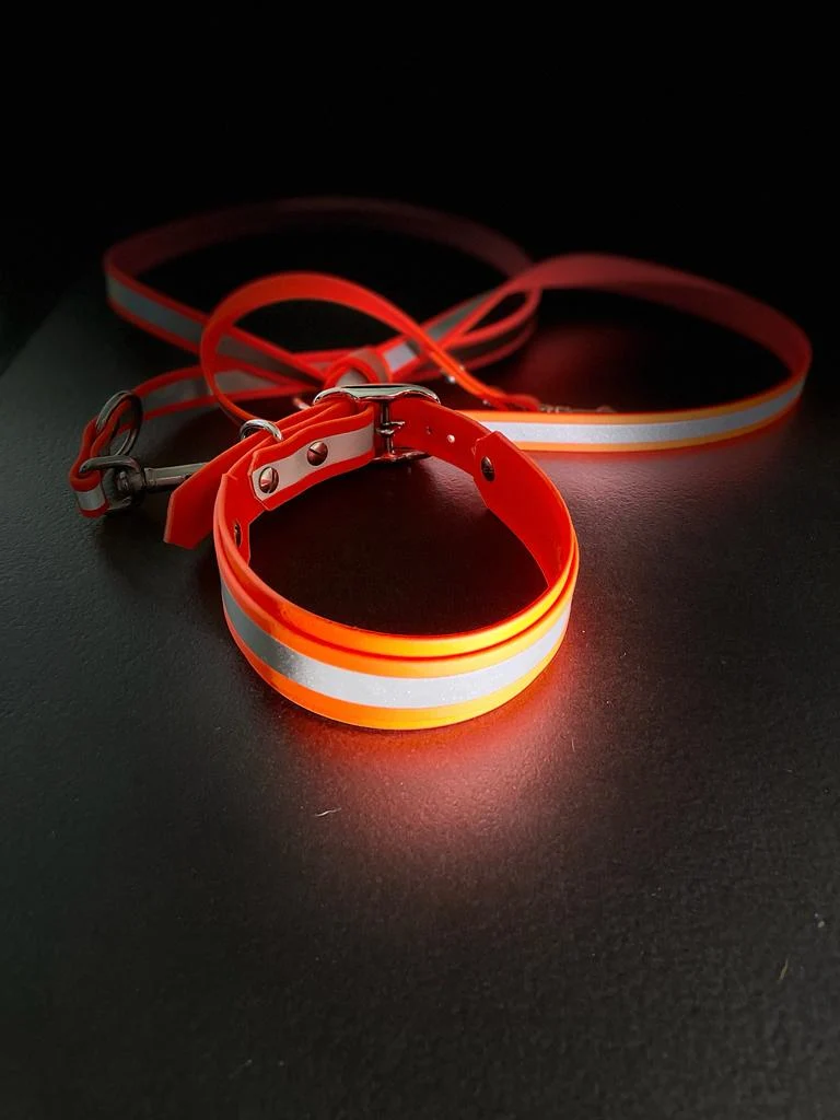 Reflektierendes Hundehalsband & Leine