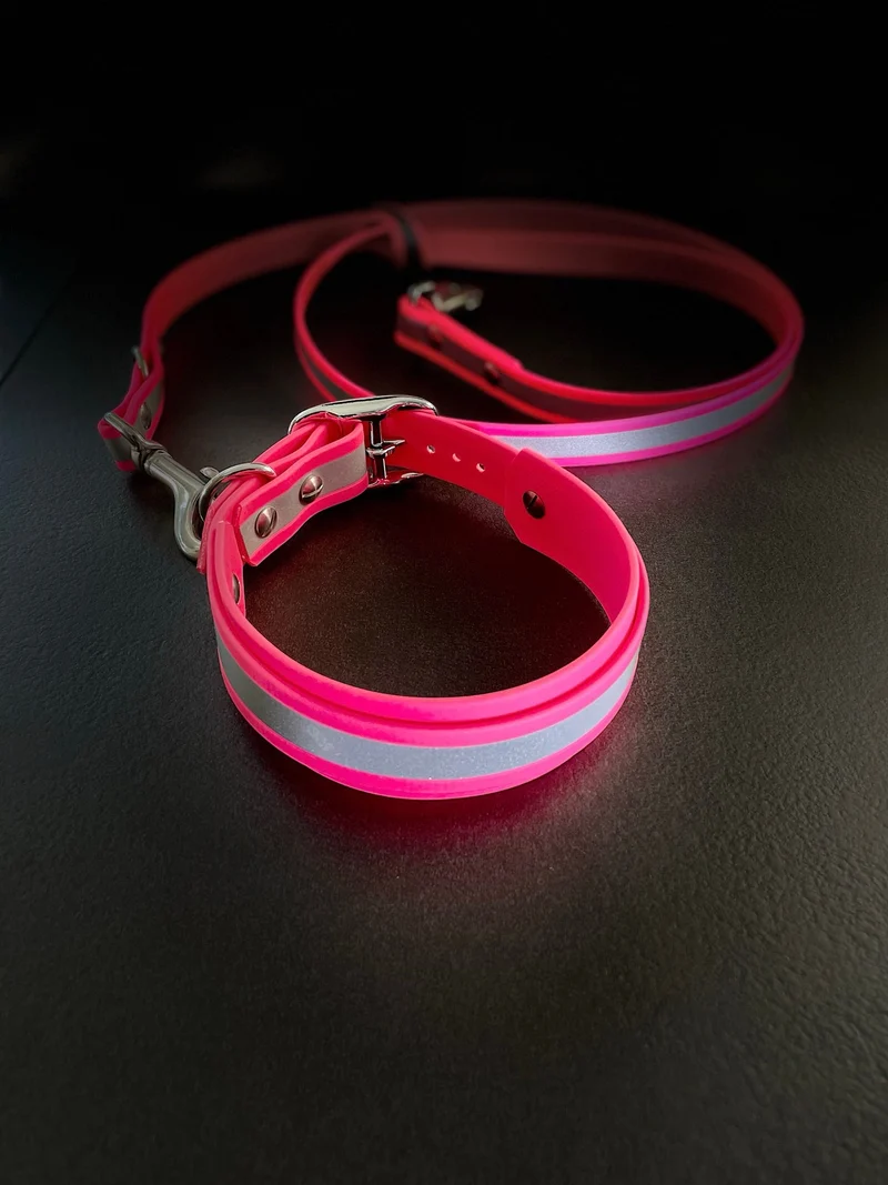 Reflektierendes Hundehalsband & Leine