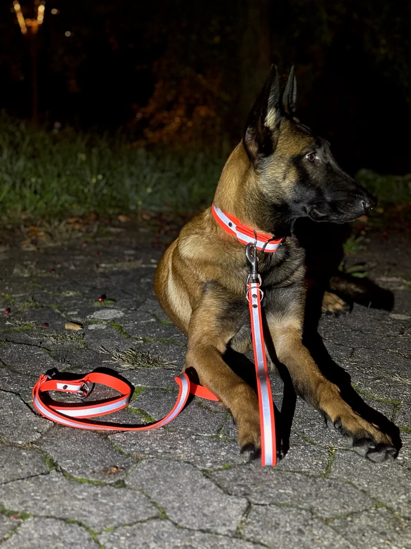 Reflektierendes BioThane® Hundehalsband Neon