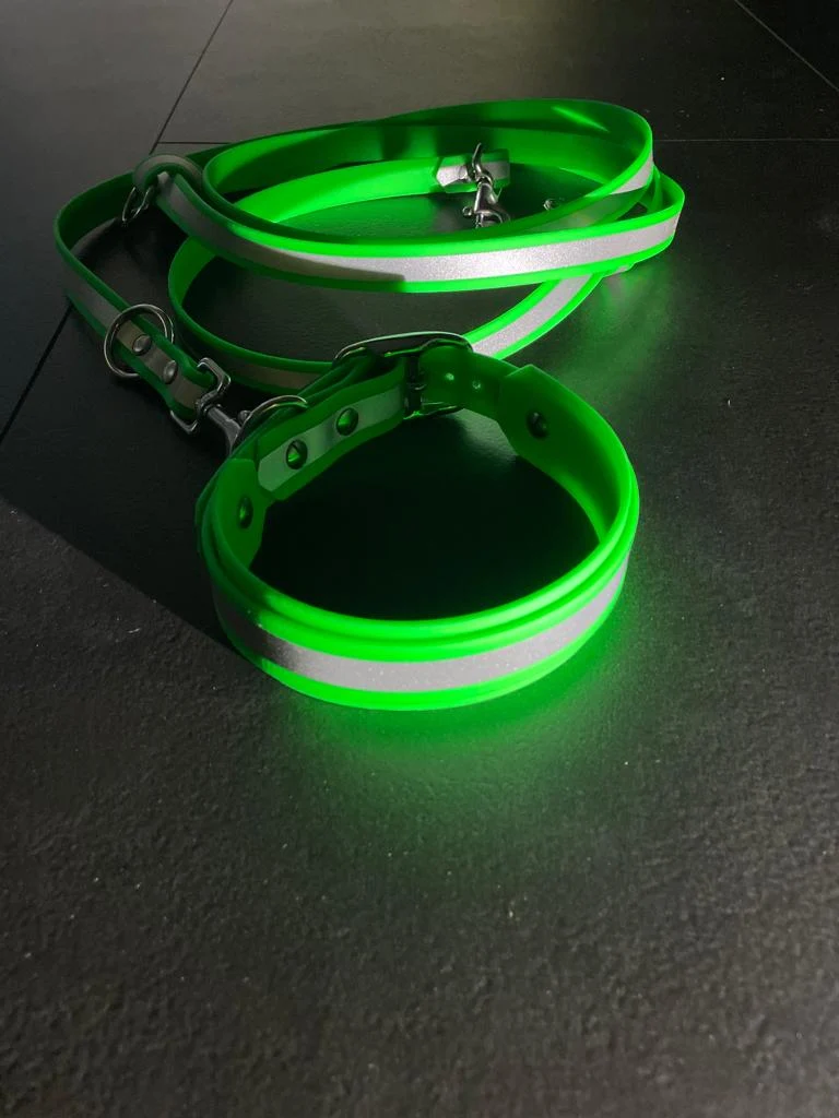 Reflektierendes BioThane® Hundehalsband Neon